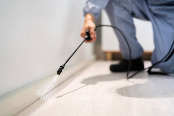 Licensed Mosquito Control service in Seattle, WA - Show Me Pest Control