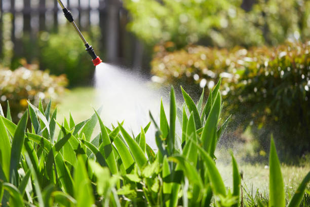 24/7 Emergency Mosquito Control experts in Seattle, WA
