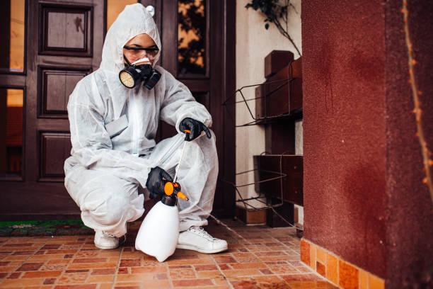 Reliable Mosquito Control contractor in Seattle, WA by Show Me Pest Control